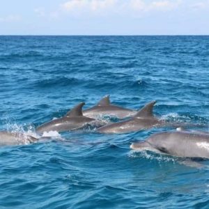 WhatsApp Image 2023-09-10 at 12.28.33 AM