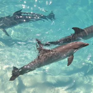 WhatsApp Image 2023-09-10 at 12.28.34 AM