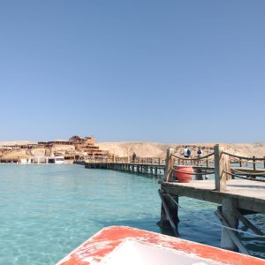 WhatsApp Image 2023-09-28 at 9.40.07 PM