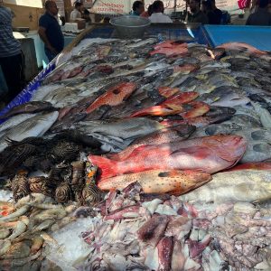 WhatsApp Image 2023-10-18 at 9.28.57 PM