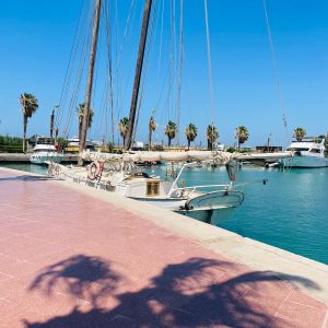 WhatsApp Image 2023-10-18 at 9.28.58 PM