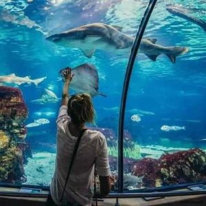 WhatsApp Image 2023-10-18 at 9.28.59 PM (1)