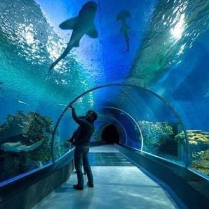 WhatsApp Image 2023-10-18 at 9.28.59 PM (2)