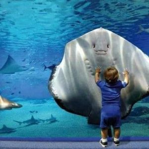 WhatsApp Image 2023-10-18 at 9.28.59 PM