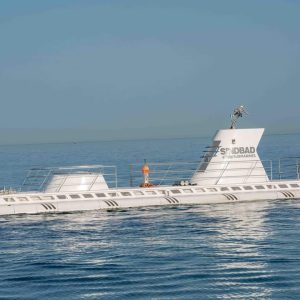 WhatsApp Image 2023-10-24 at 8.37.36 PM (1)