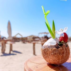 WhatsApp Image 2023-11-07 at 9.41.37 PM