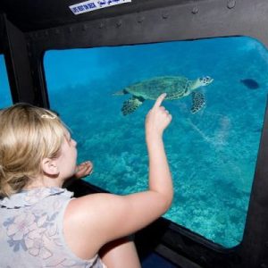 glasbodenboot.1_1e7a9_lg-q3jstqwrmjsrbd31bqshu9mvekengtz5qstag0j7vk