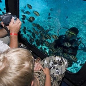 glasbodenboot.3_41a5b_lg-q3jsttqa71wma6yxva0djqx96q0r3xacr6rqvuf1cw