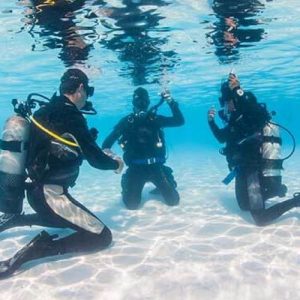 learning-to-dive-is-it-safe-featured-q3jw09kvsd2tzqounm454q994jhg36vpt66yieak2g