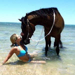 pferde-reiten.23_5a4a2_lg-q93r6bc3p66u7imhe1m0fyj0dp8aakkkm76ccmnfkw