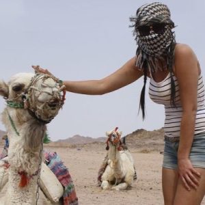 safari-mit-quad.9_20199_lg-q3js4ojpdlhhpphrowqnclcd4nya7eguaqj5qdp5sw