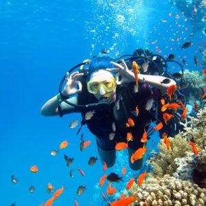 -в-Хургаде-3-q3c2sev6oeabv85guitwug56lmo229vvwr1lsd14ig